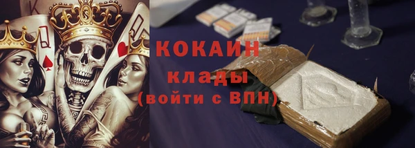 твердый Арсеньев
