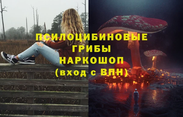 spice Армянск