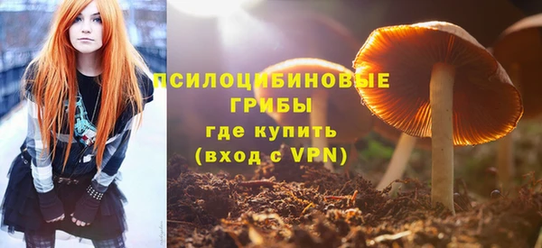 spice Армянск