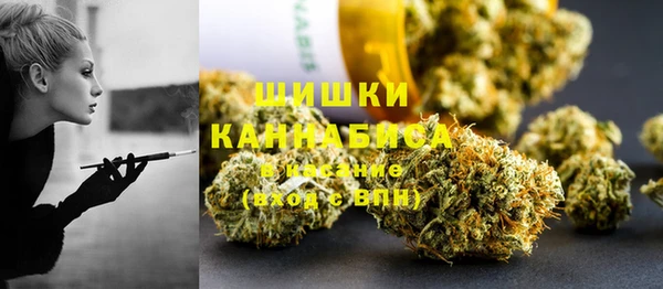 твердый Арсеньев