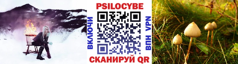 ссылка на мегу рабочий сайт  Лысьва  Псилоцибиновые грибы Cubensis  где можно купить наркотик 